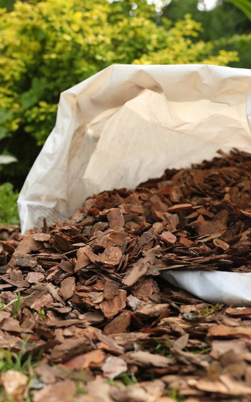 Mulch Installation for Healthier Soil and Cleaner Beds